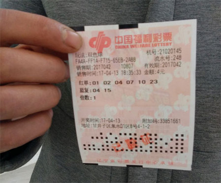 美女犬奴隶